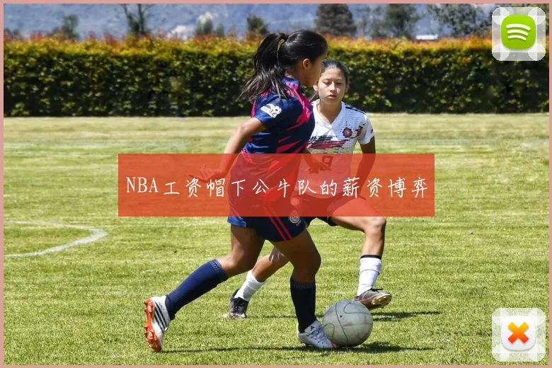 NBA工资帽下公牛队的薪资博弈