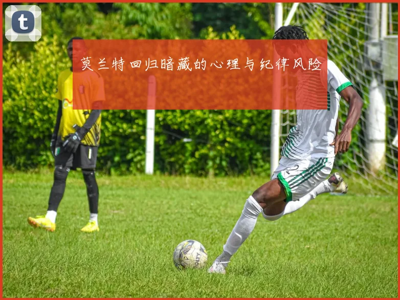 莫兰特回归暗藏的心理与纪律风险