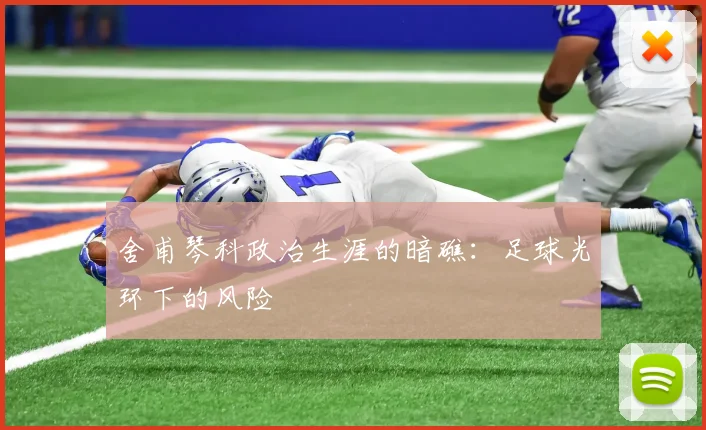 舍甫琴科政治生涯的暗礁：足球光环下的风险