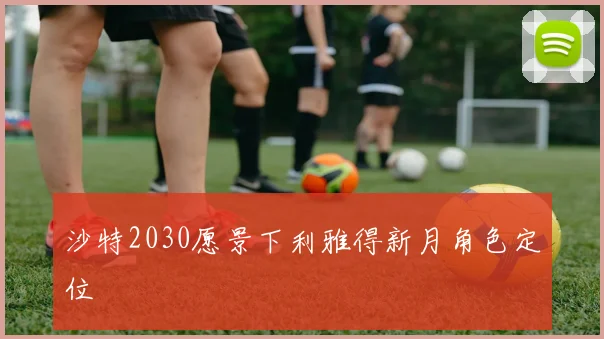 沙特2030愿景下利雅得新月角色定位
