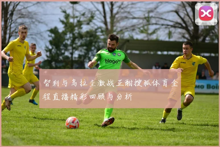 智利与乌拉圭激战正酣搜狐体育全程直播精彩回顾与分析